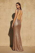 Robe longue pailletée - Harana