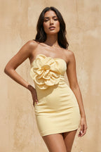 Robe courte bustier - Harana